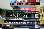 Sale Photo Thumbnail #21