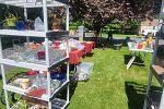 Sale Photo Thumbnail #7