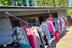 Sale Photo Thumbnail #21