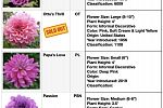 Sale Photo Thumbnail #8