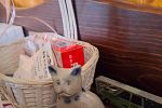 Sale Photo Thumbnail #150