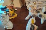 Sale Photo Thumbnail #246