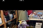 Sale Photo Thumbnail #15