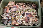 Sale Photo Thumbnail #13