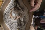 Sale Photo Thumbnail #22