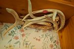 Sale Photo Thumbnail #74
