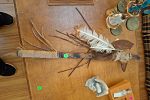 Sale Photo Thumbnail #186