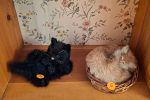 Sale Photo Thumbnail #79