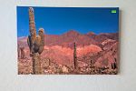 Sale Photo Thumbnail #8