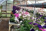 Sale Photo Thumbnail #3