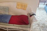 Sale Photo Thumbnail #26