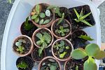 Sale Photo Thumbnail #16