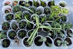 Sale Photo Thumbnail #18