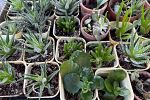 Sale Photo Thumbnail #13