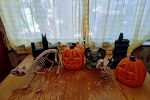Sale Photo Thumbnail #8