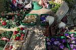 Sale Photo Thumbnail #11