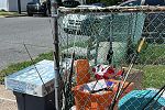 Sale Photo Thumbnail #7