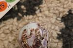 Sale Photo Thumbnail #15
