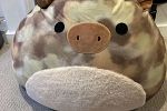 Sale Photo Thumbnail #15