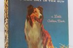 Sale Photo Thumbnail #45