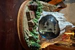 Sale Photo Thumbnail #184