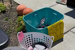 Sale Photo Thumbnail #7