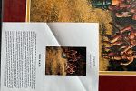 Sale Photo Thumbnail #19