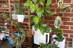 Sale Photo Thumbnail #10