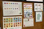 Sale Photo Thumbnail #19