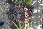 Sale Photo Thumbnail #63