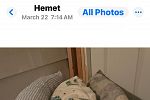 Sale Photo Thumbnail #37