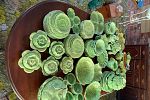 Sale Photo Thumbnail #63