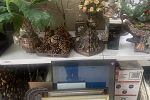 Sale Photo Thumbnail #41