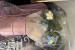 Sale Photo Thumbnail #15