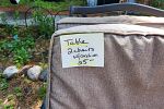 Sale Photo Thumbnail #23