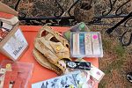 Sale Photo Thumbnail #42