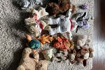 Sale Photo Thumbnail #18