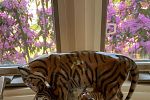 Sale Photo Thumbnail #16