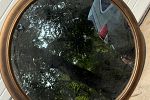 Sale Photo Thumbnail #29