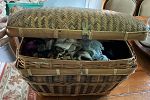 Sale Photo Thumbnail #4