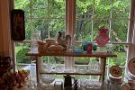 Sale Photo Thumbnail #18