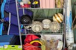 Sale Photo Thumbnail #30