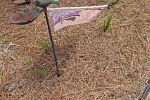 Sale Photo Thumbnail #166