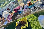 Sale Photo Thumbnail #5