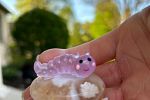 Sale Photo Thumbnail #32