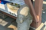 Sale Photo Thumbnail #23
