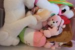 Sale Photo Thumbnail #33