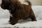 Sale Photo Thumbnail #16