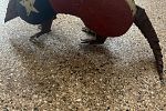 Sale Photo Thumbnail #18