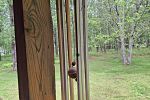 Sale Photo Thumbnail #49